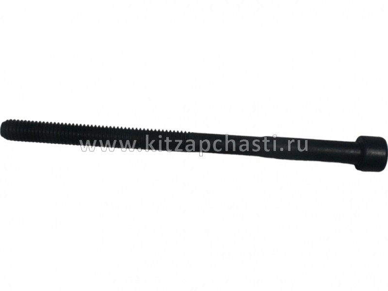 Болт ГБЦ  Haval M6 1003011AEG01B