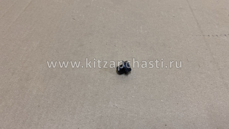Пробка сливная Haval F7 2,0 1009304XEC06