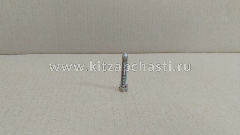 Болт натяжителя ГРМ DongFeng AX7 3255300