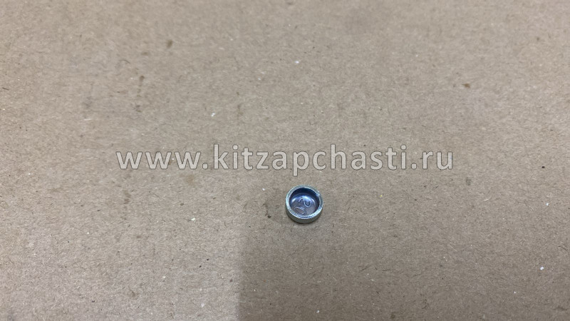 Заглушка ГБЦ малая NEXT,Бизнес Cummins ISF 2.83905368
